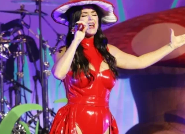 Katy Perry performing on a cruise in Iceland